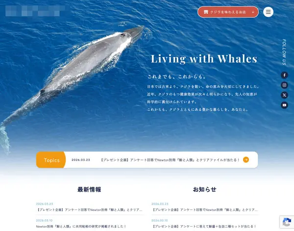 TIJメディア合同会社様の事例サムネイル